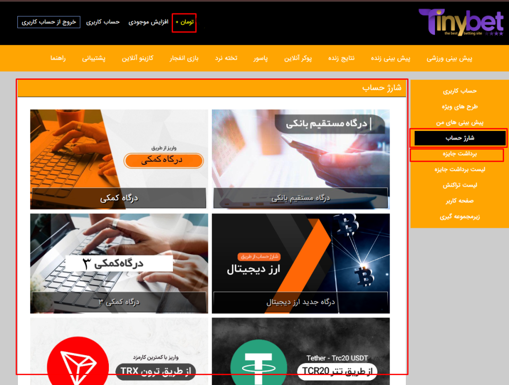 شارژ حساب تاینی بت